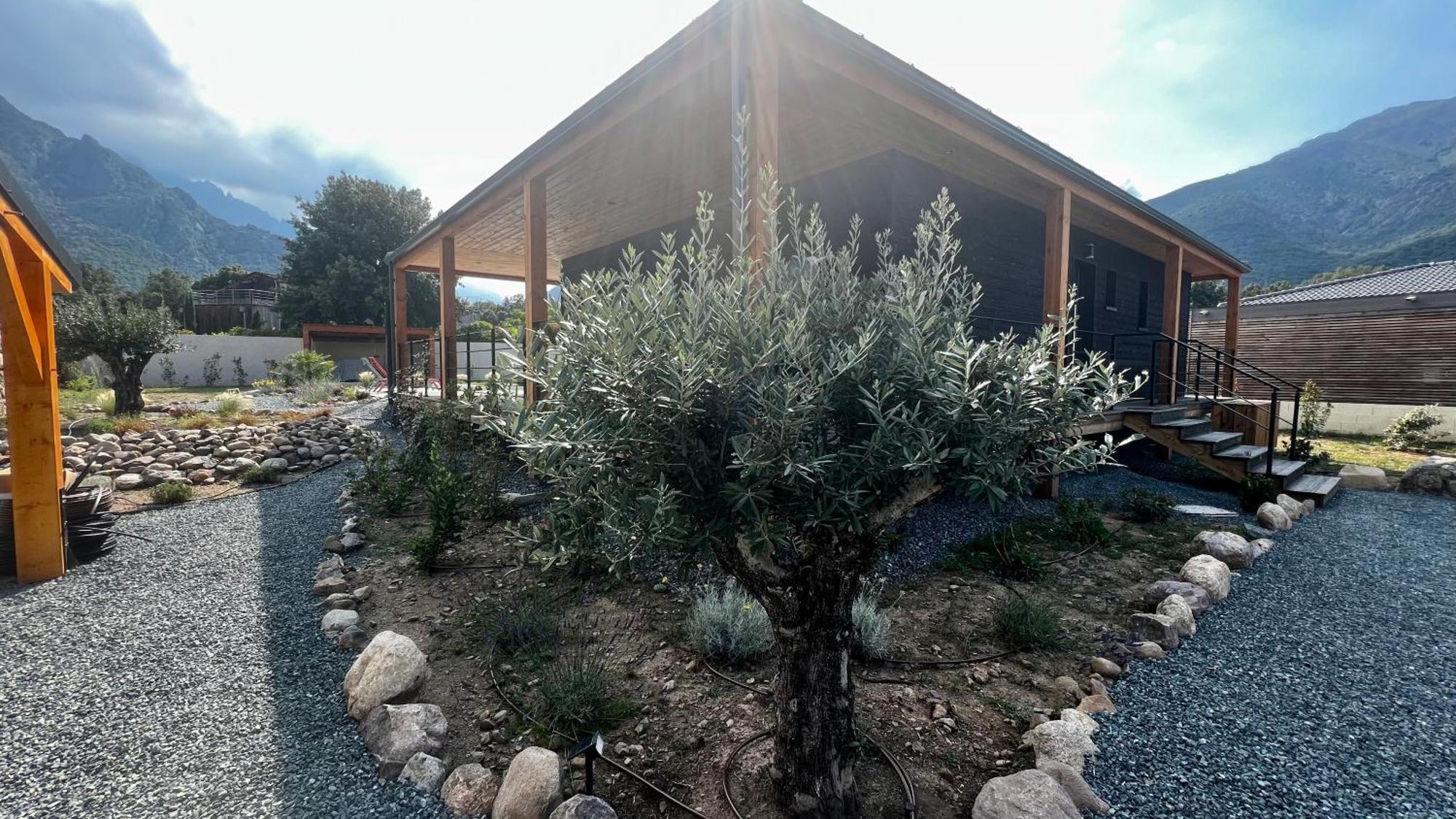 Villas Vallee D'Asco Moltifao Extérieur photo