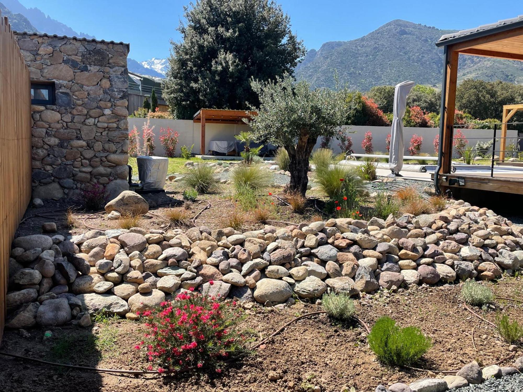 Villas Vallee D'Asco Moltifao Extérieur photo