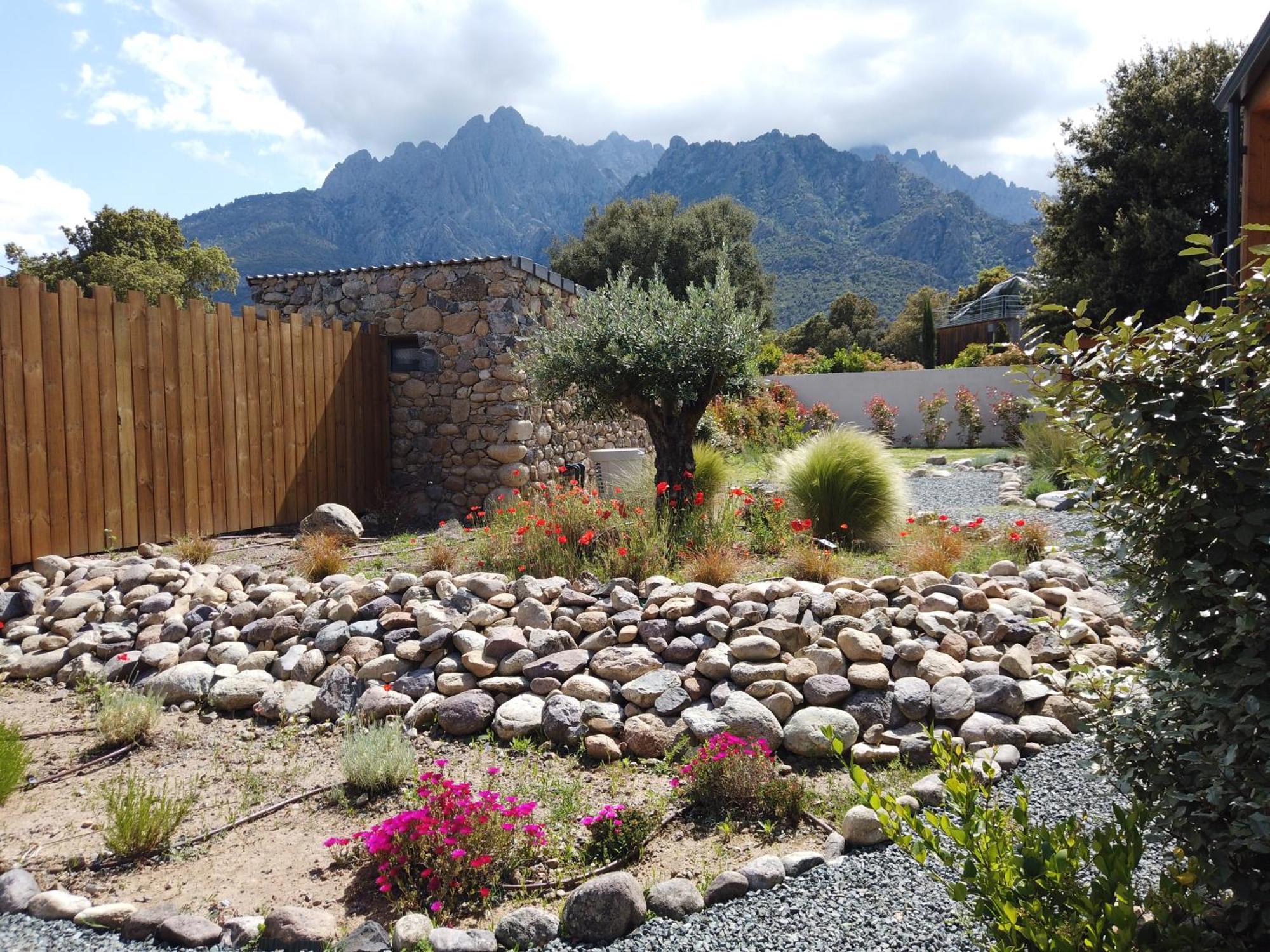 Villas Vallee D'Asco Moltifao Extérieur photo
